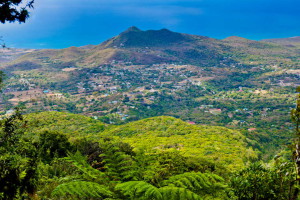 Nevis-Tourism-Authority