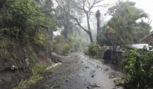 erika destruction on Dominica