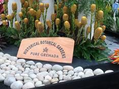 Pure Grenada Wins 13th GOLD MEDAL at RHS Chelsea Flower Show 2