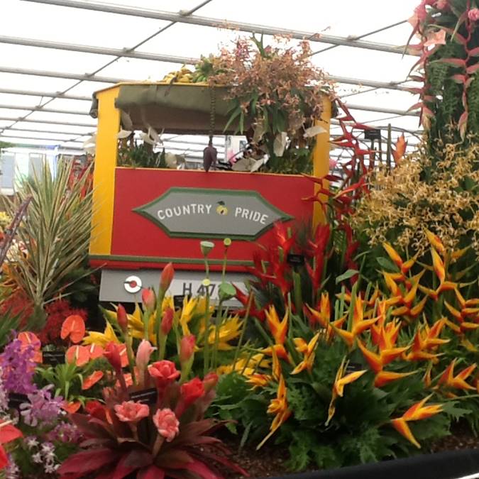 Grenada Wins 14th GOLD MEDAL at RHS Chelsea Flower Show 3